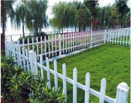 �����o��